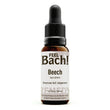 Beech Flower Essence