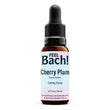 Cherry Plum Flower Essences