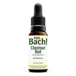 Chestnut Bud Flower Essence