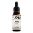 Chicory Flower Essence