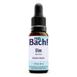 Elm Flower Essence