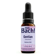 Gentian Feel Bach!