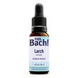 Larch Flower Essence