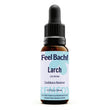 Larch Flower Essence