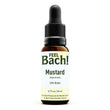 Mustard Flower Essence