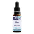 Pine Flower Essence