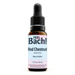 Red Chestnut Flower Essence