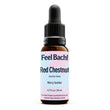 Red Chestnut Flower Essence