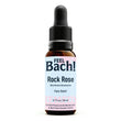 Rock Rose Flower Essence