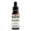 Rock Water Flower Essence