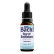 Star Of Bethlehem Flower Essence