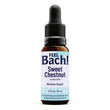 Sweet Chestnut Flower Essence