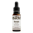 Vervain Flower Essence