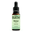Walnut Flower Essence
