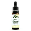 White Chestnut Flower Essence